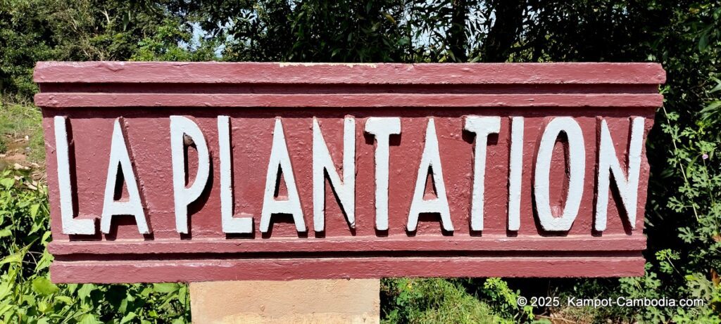 La Plantation logo